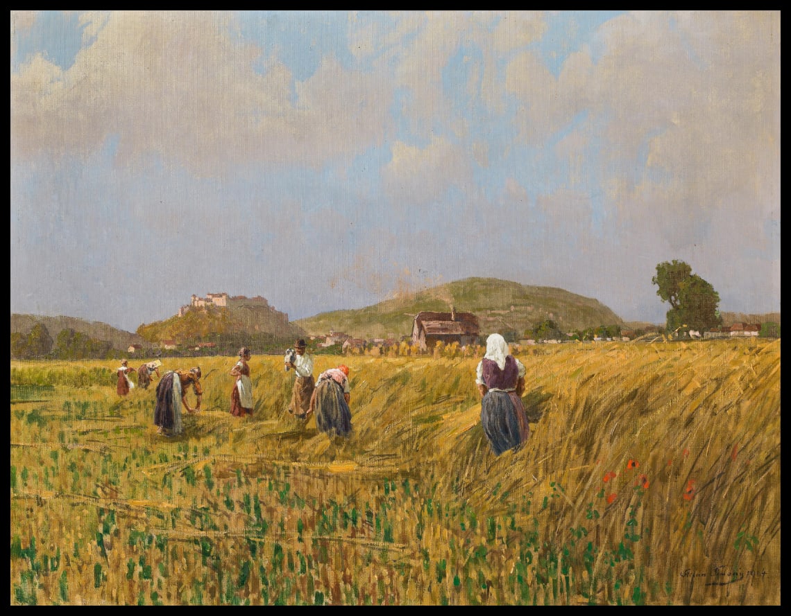Corn cutting in Salzburg