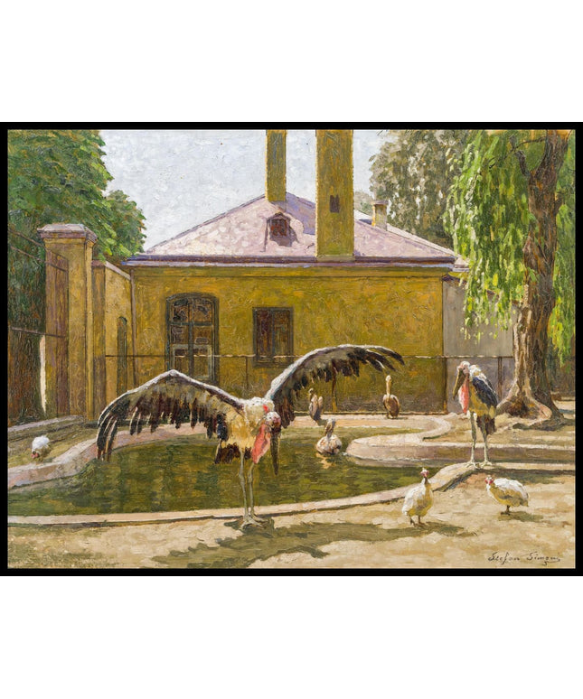 Marabus in Schönbrunn