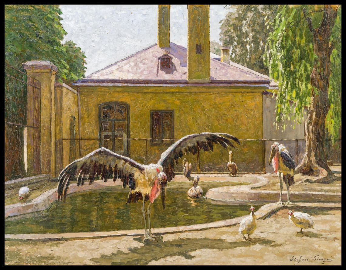 Marabus in Schönbrunn