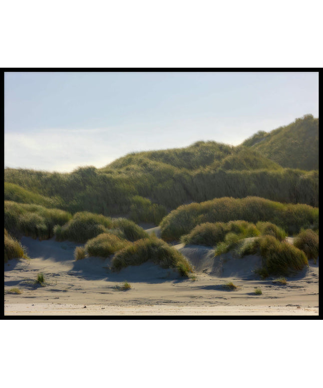 Ein Poster von Dünengras am Strand.