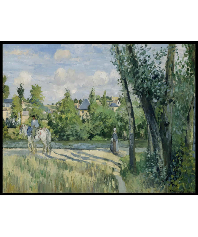 Sunlight On The Road