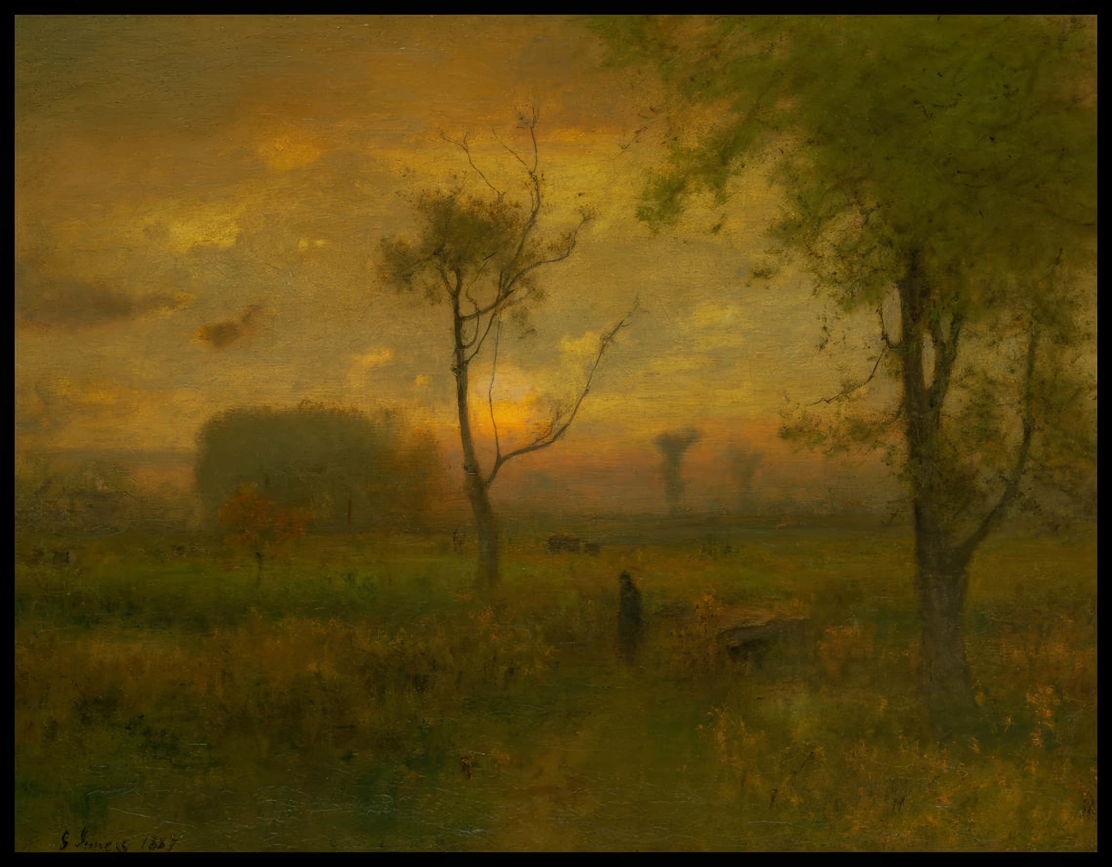 Sunrise