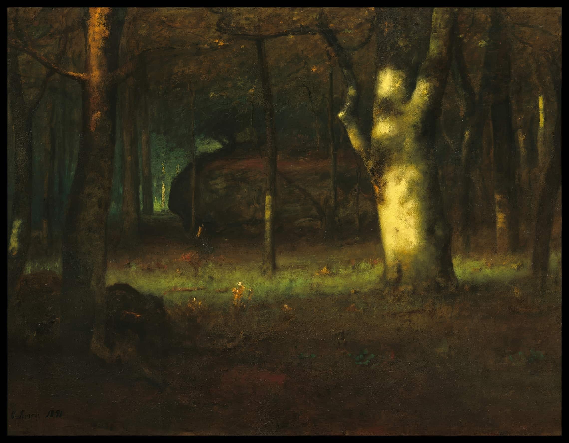 Sunset In The Woods