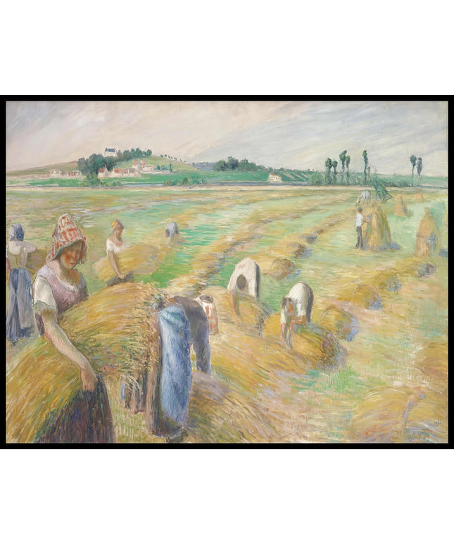 The Harvest