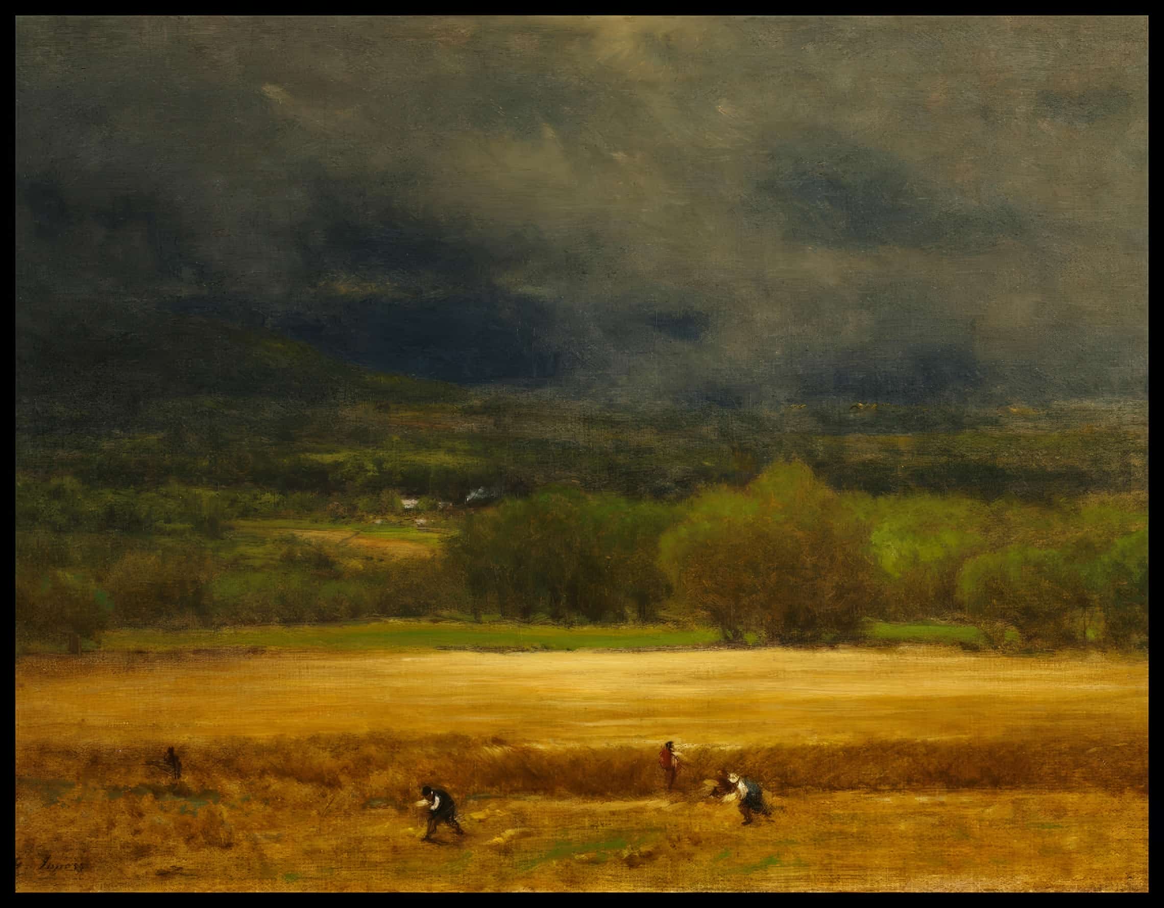 The Wheat Field