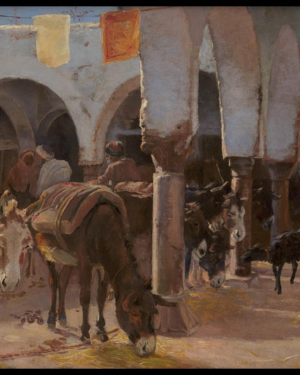 A Donkey House in Tunis