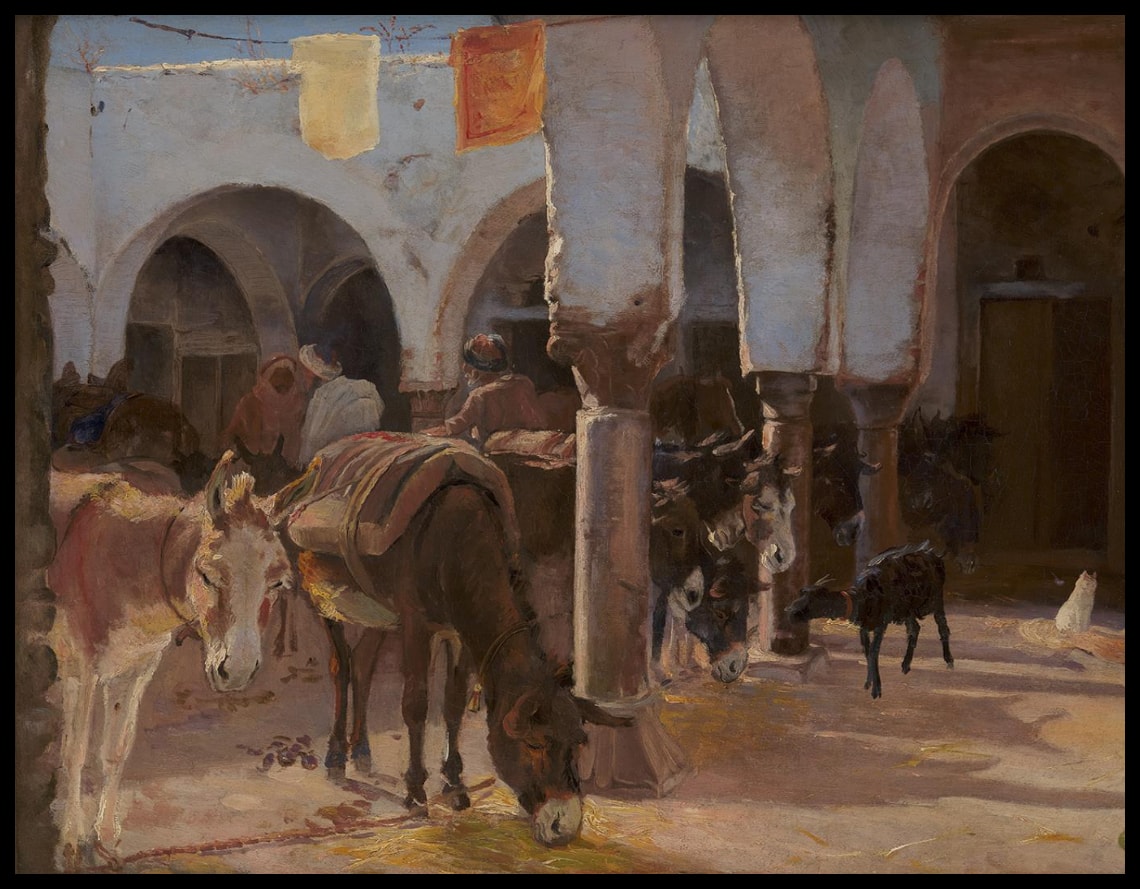 A Donkey House in Tunis