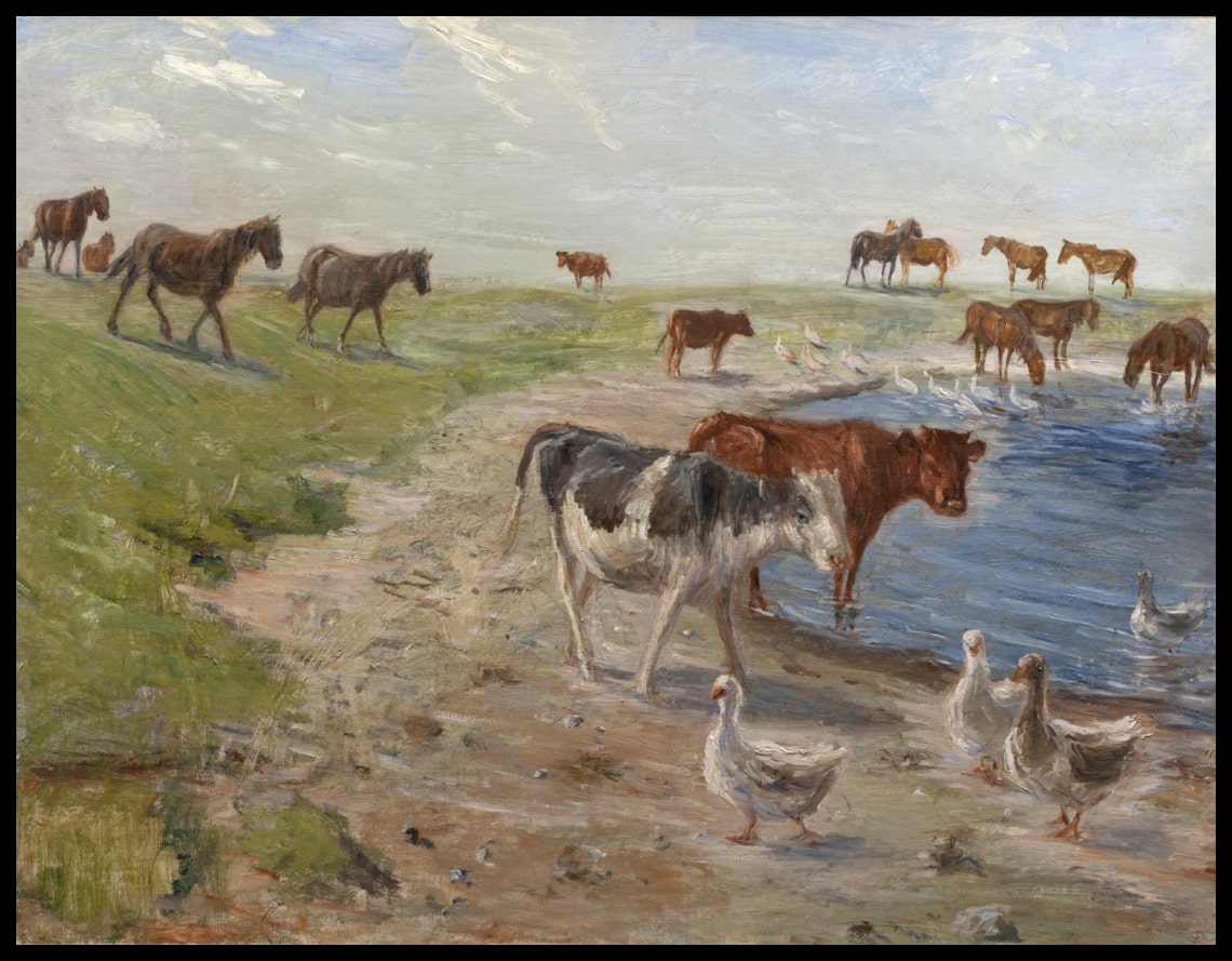 Calves and Geese at a Wateringhole on the Island of Saltholm