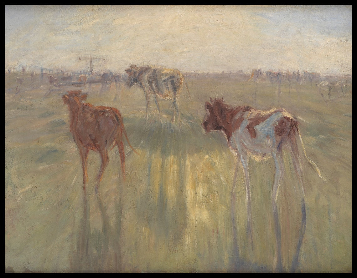 Cattle Seen against the Sun on the Island of Saltholm