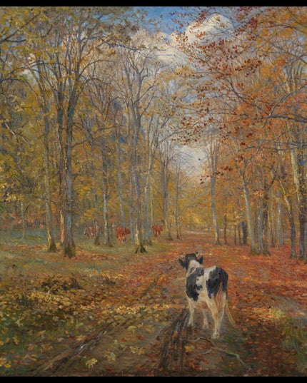 En vej i Dyrehaven. Efterår