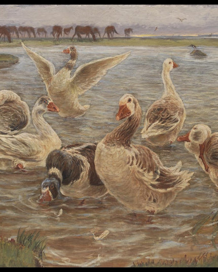 Geese on the Island of Saltholm