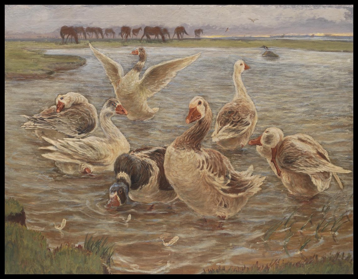 Geese on the Island of Saltholm