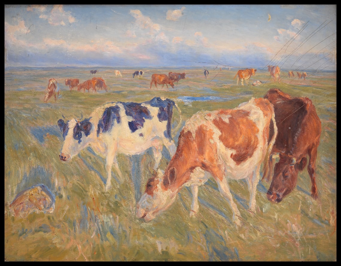 Grazing Cows on the Island of Saltholm