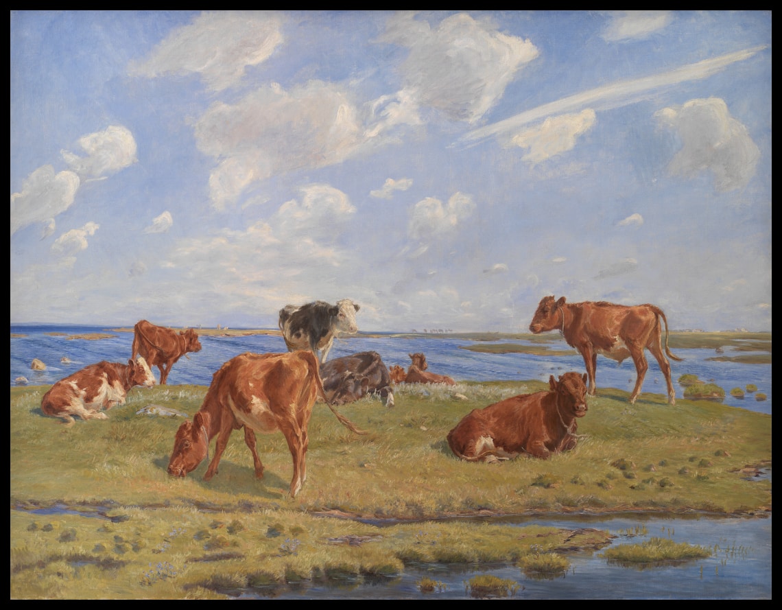 Kalve ved stranden