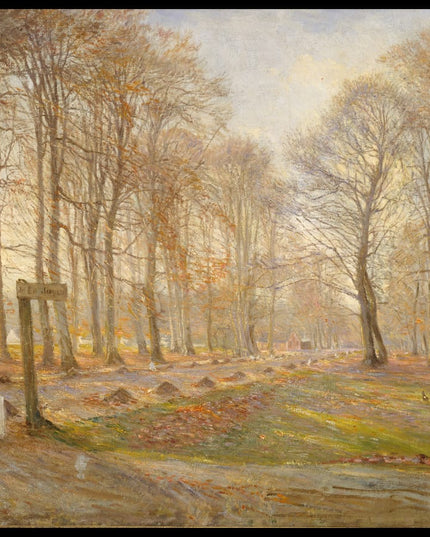 Late Autumn Day in the Jægersborg Deer Park, North of Copenhagen