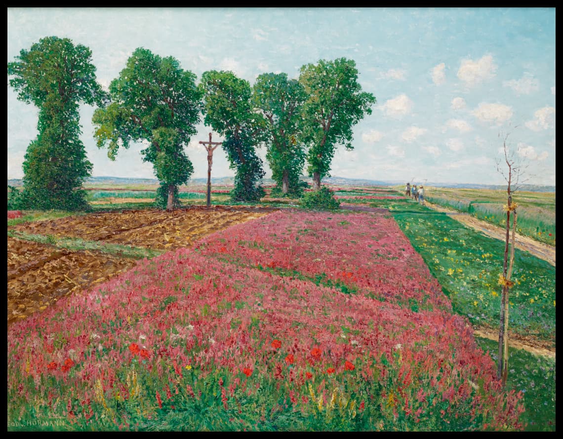 Das große Esparsettenfeld in Znaim IV