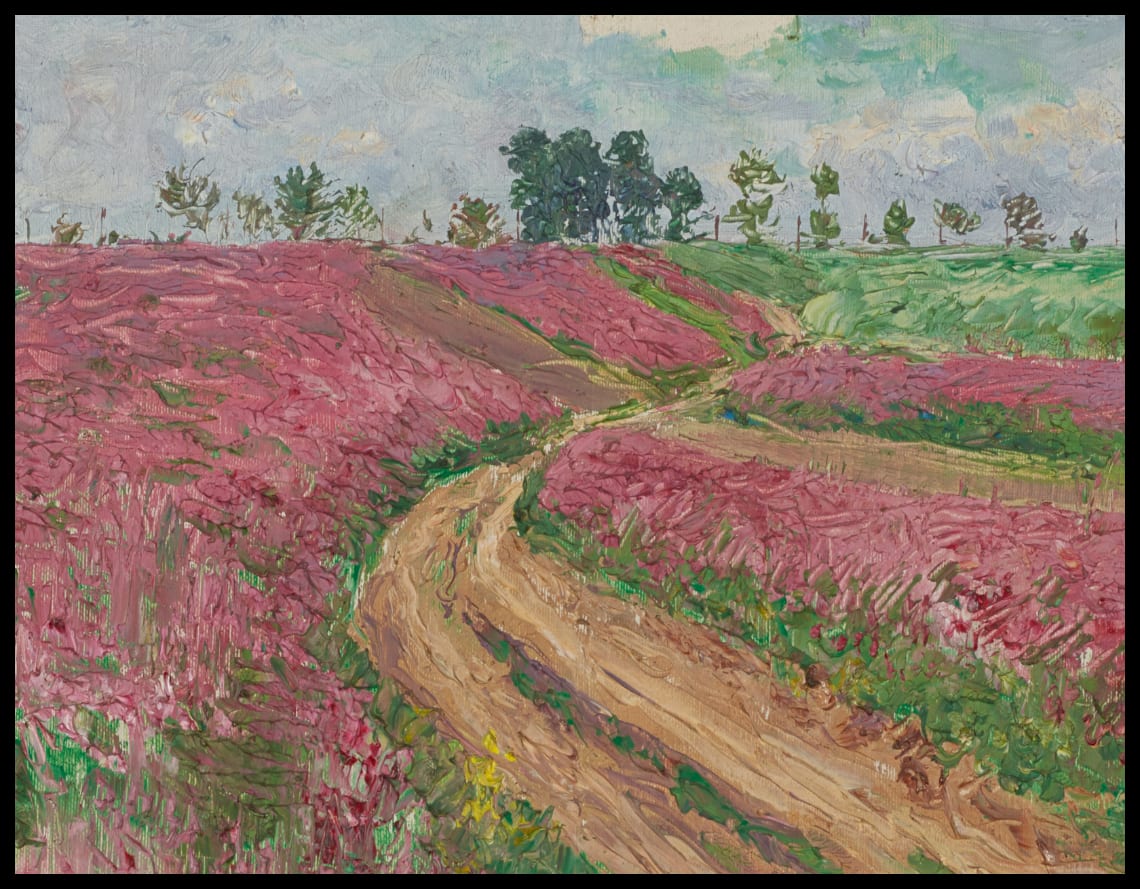 Field of sainfoin near Znojmo II