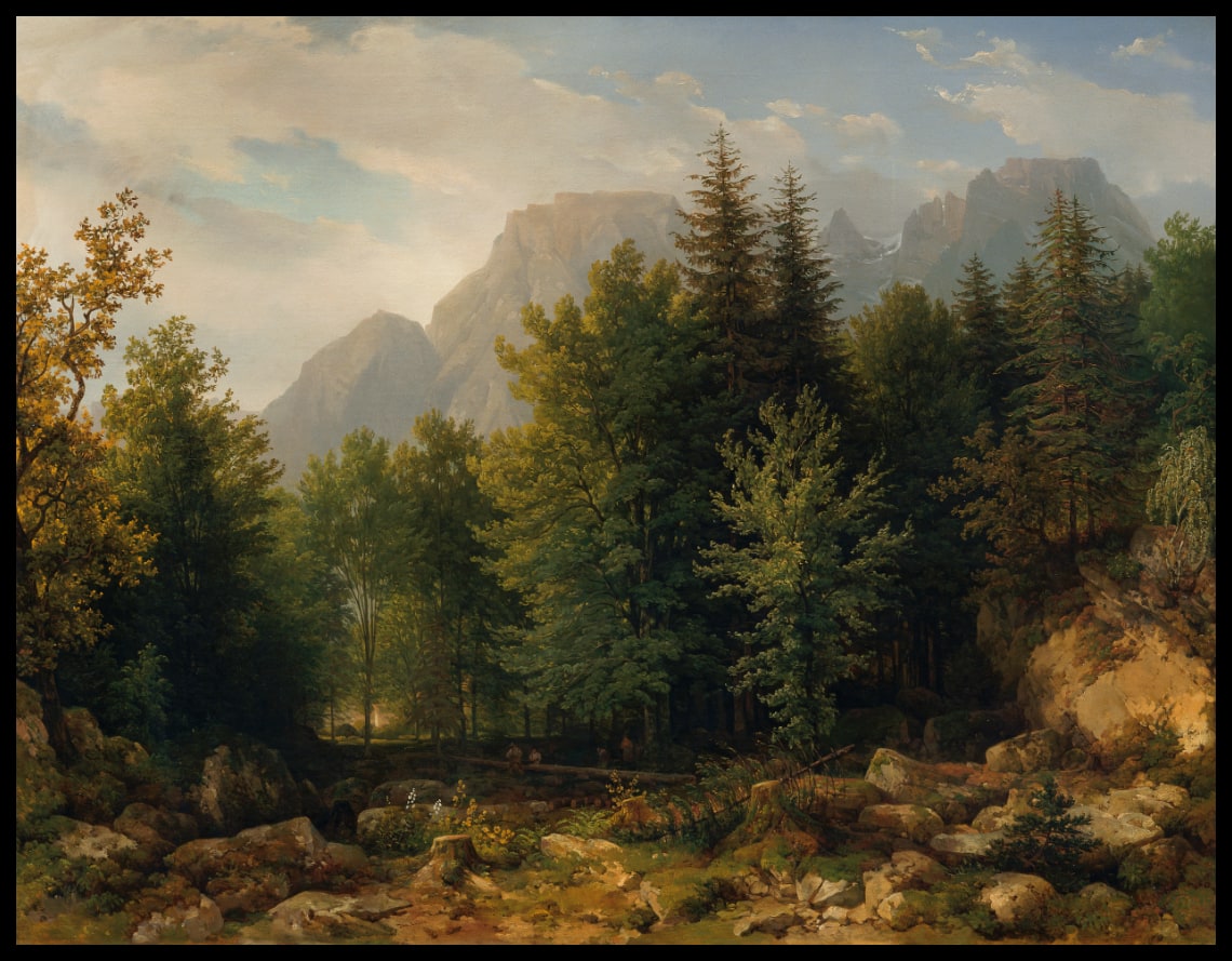 Waldlandschaft im Hochgebirge