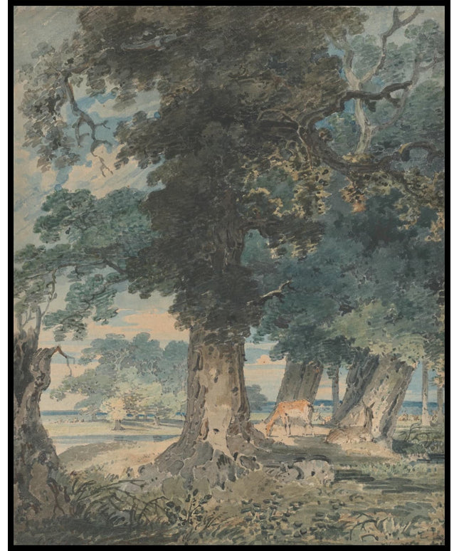 Deer in Windsor Forest