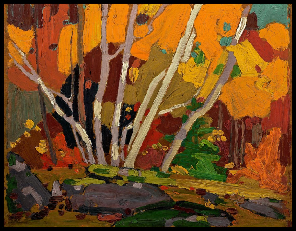 Autumn Birches