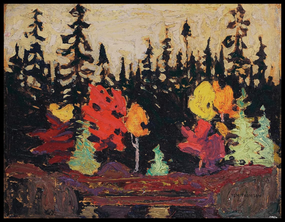 Black Spruce and Maple