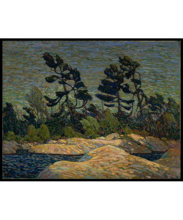 Byng Inlet Georgian Bay Winter