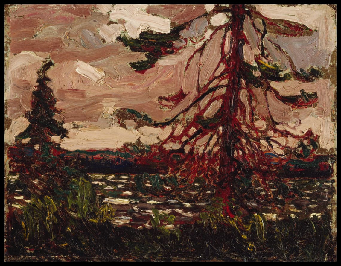 Ragged Pine