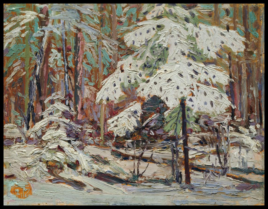 Snow in the Woods