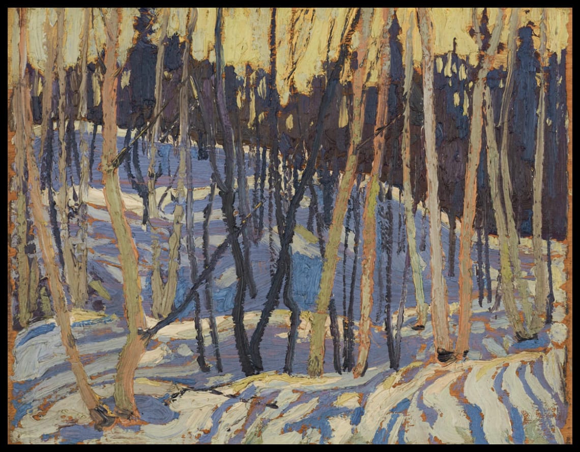 Snow Shadows