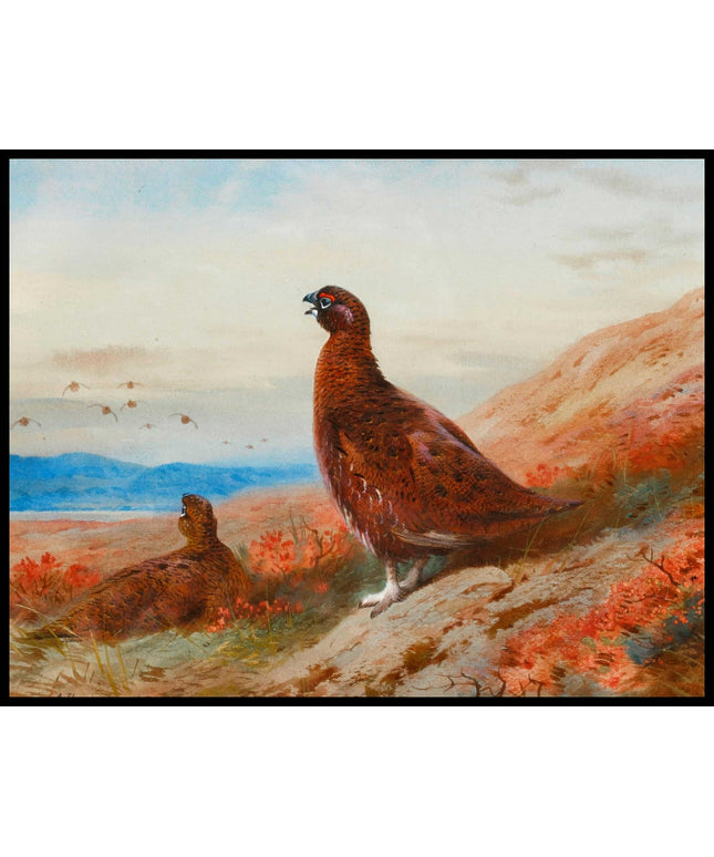 Moorschneehühner Poster