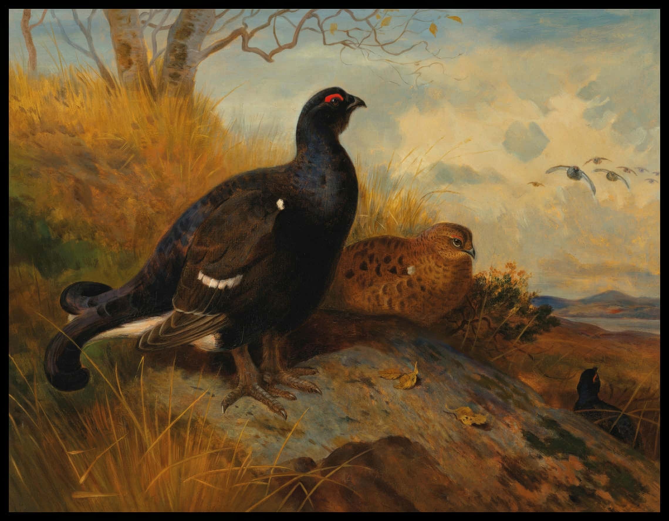 Vogelschwarm Poster