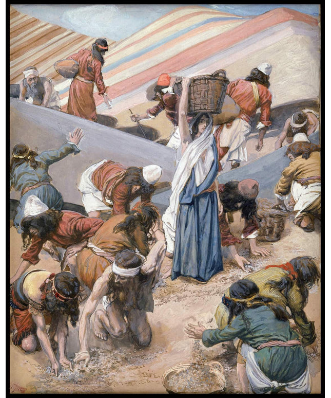 The Gathering of the Manna