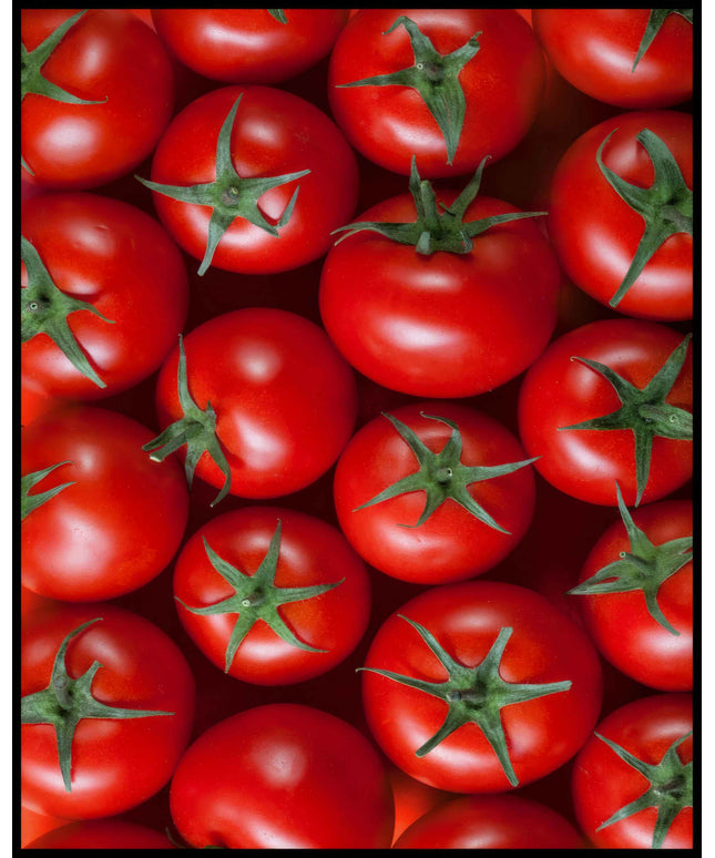Ein Poster einer Nahaufnahme von mehreren Tomaten.