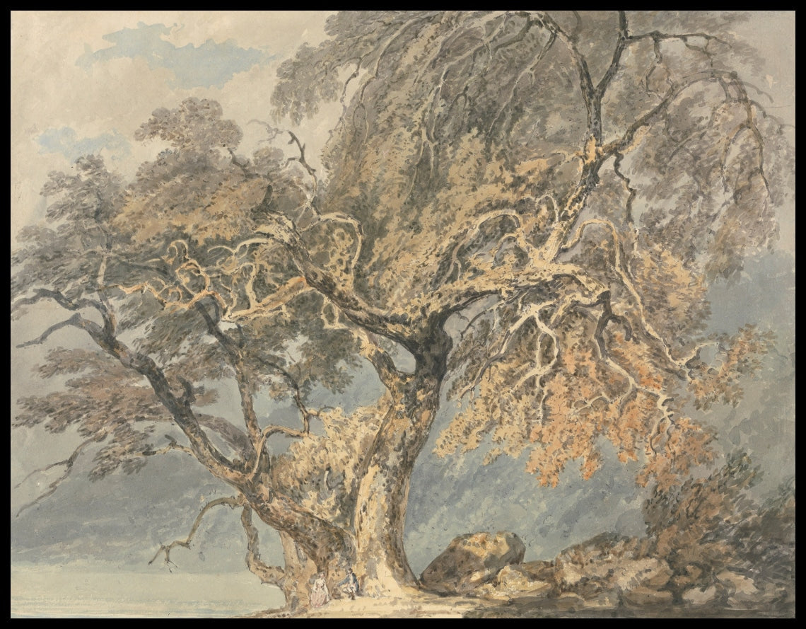 A Great Tree