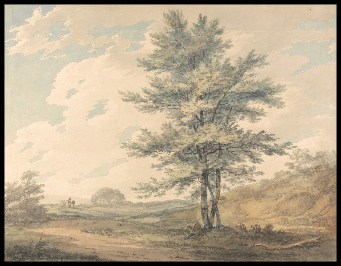 Arbres et figures