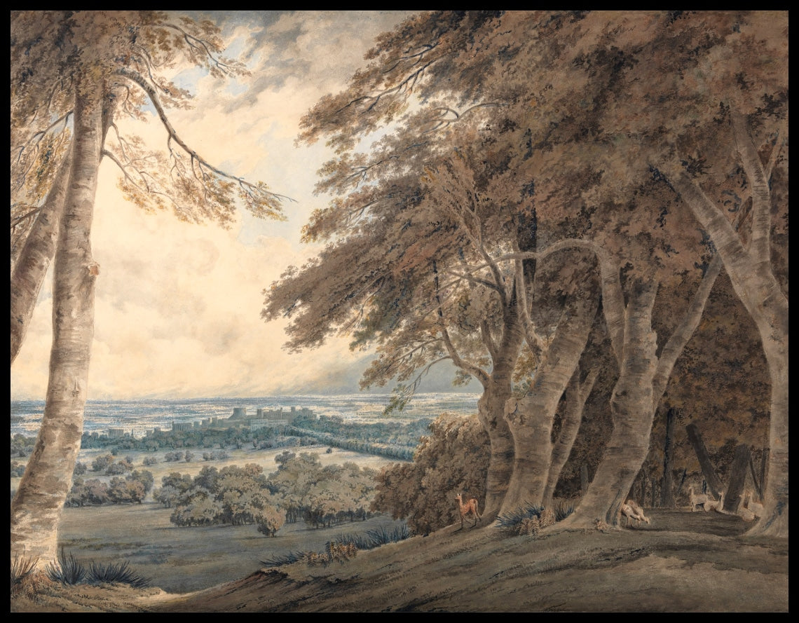 Windsor
