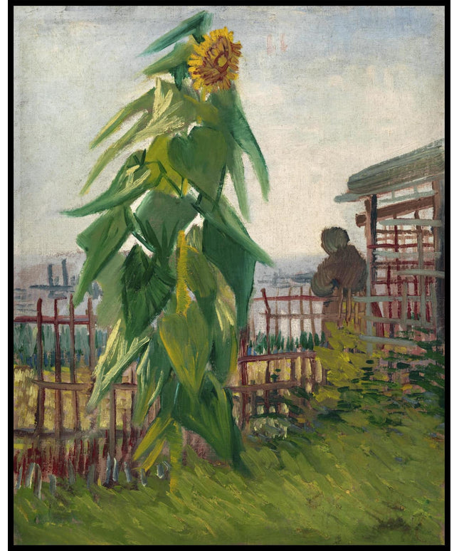 Allotment with Sunflower