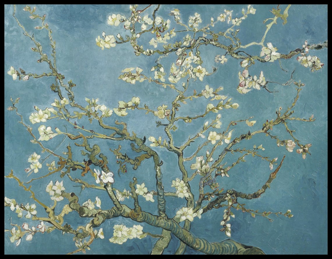 Mandelbaum in Blüte