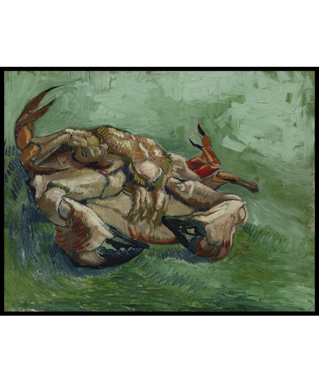 Krebs, auf dem Rücken liegend