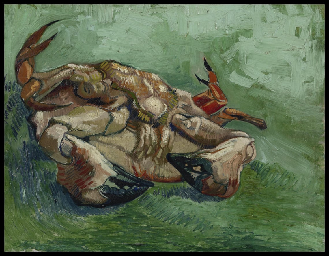 Cancer, lying on its back