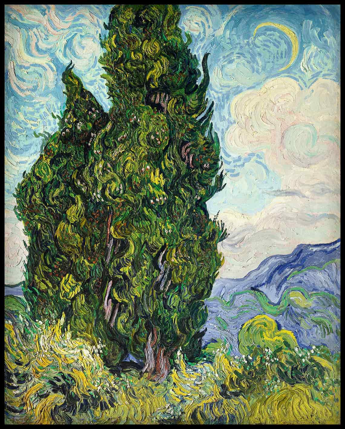 Cypresses