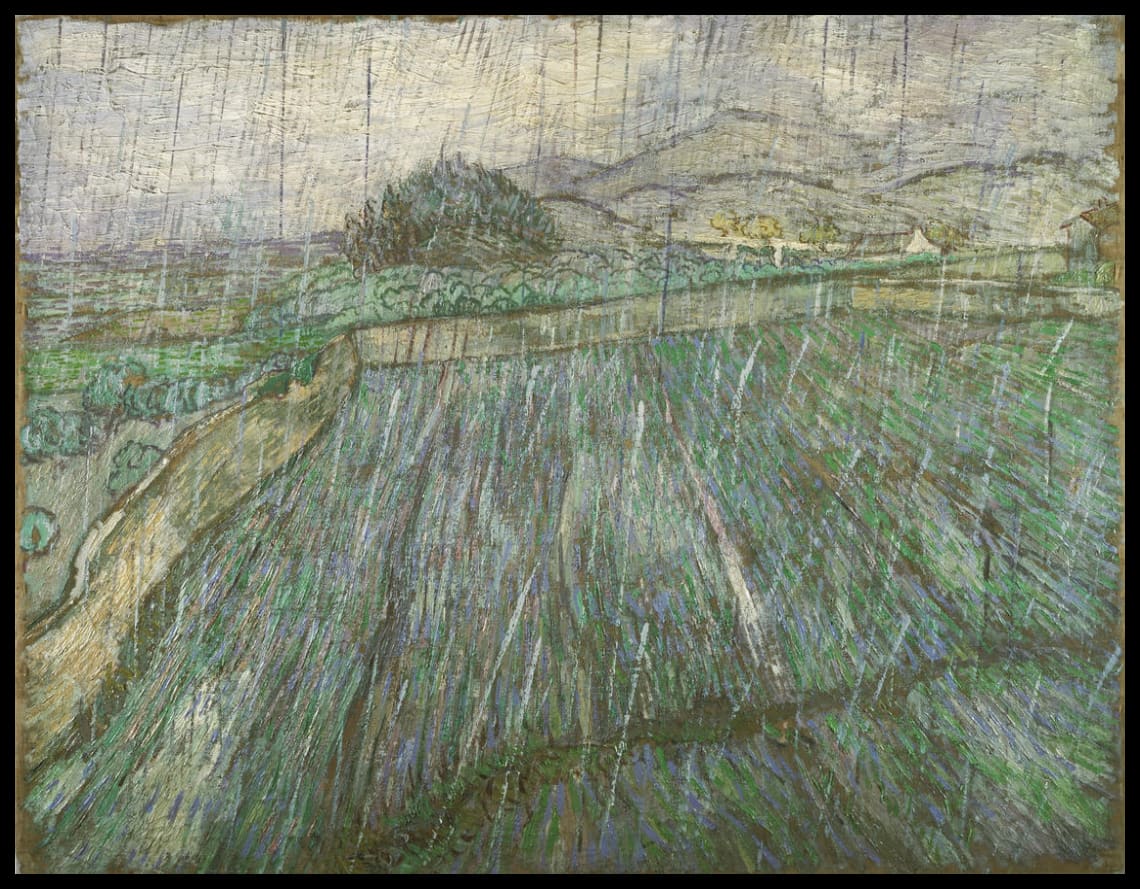 Rain