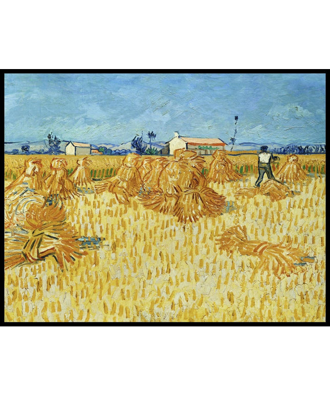 Ernte in der Provence