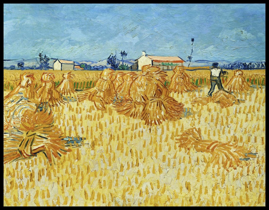 Harvest in Provence