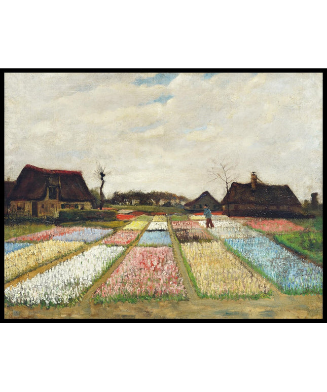 Flower Beds in Holland