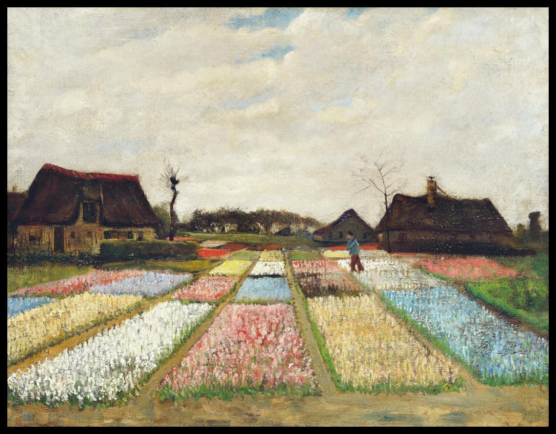 Flower Beds in Holland