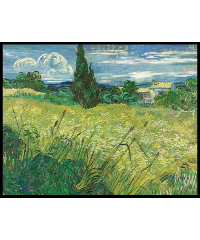 Grünes Weizenfeld mit Zypresse