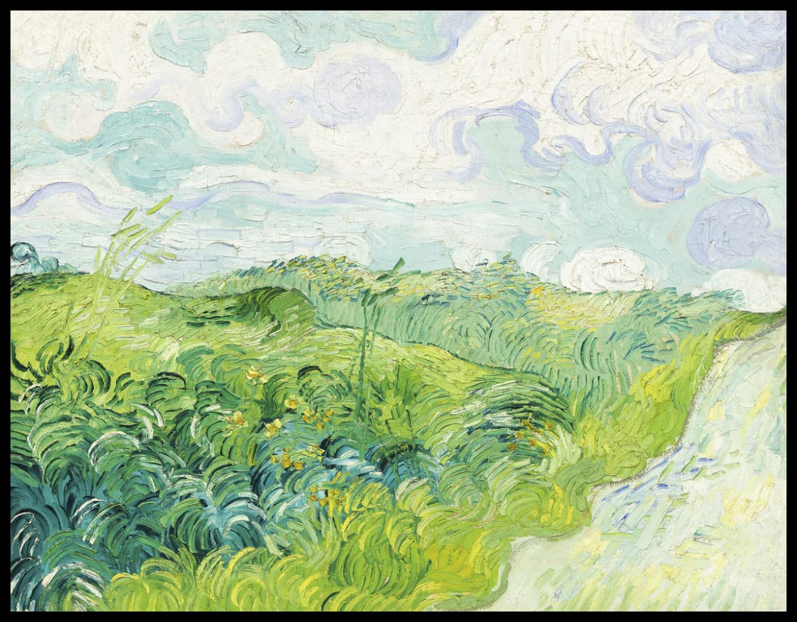 Green wheat field
