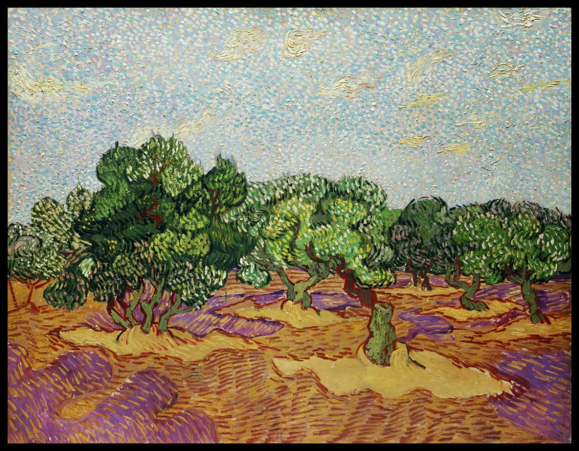 Olive trees