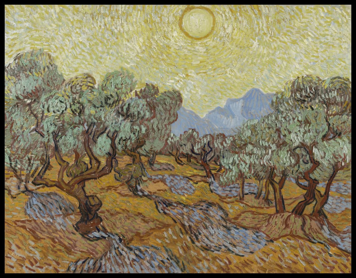 Olive trees